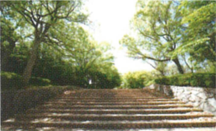 ①金剛東中央公園（物件正面）